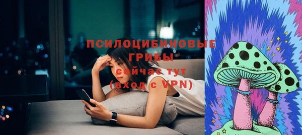 дурь Болхов