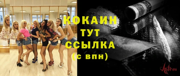 стаф Пестово
