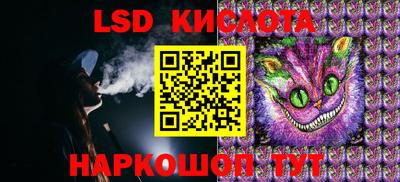 стаф Дубна