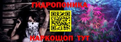 стаф Дубна