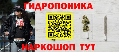 стаф Дубна