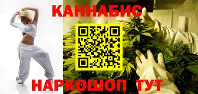 стаф Дубна