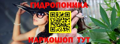 стаф Дубна