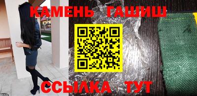 стаф Дубна