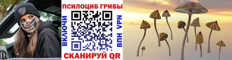 Псилоцибиновые грибы GOLDEN TEACHER Ржев